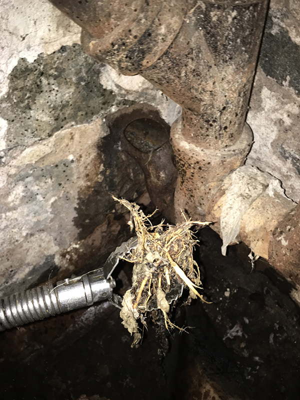 Drain-Medic-Clogged-Drain-Cleaning-800px-600px